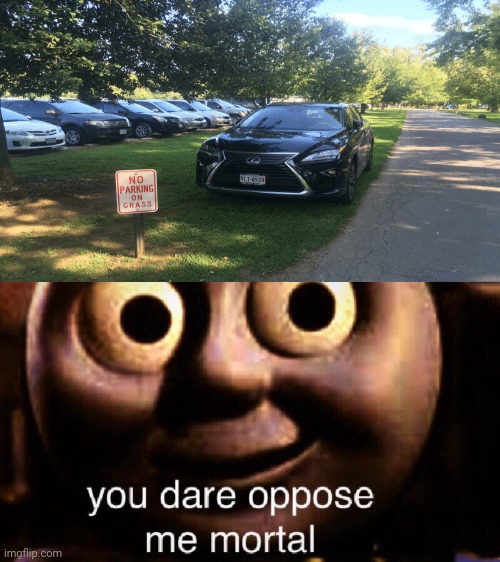 No parking on grass sign: Car parking on grass | image tagged in you dare oppose me mortal,you had one job,funny,memes,cars,meme | made w/ Imgflip meme maker