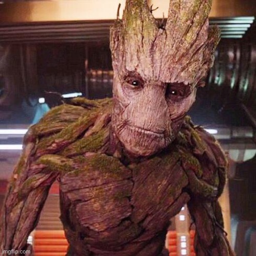 Groot Guardians of the Galaxy | image tagged in groot guardians of the galaxy | made w/ Imgflip meme maker