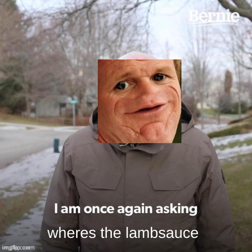 Yes, where is it | image tagged in bernie i am once again asking for your support,chef gordon ramsay,lamb sauce | made w/ Imgflip meme maker