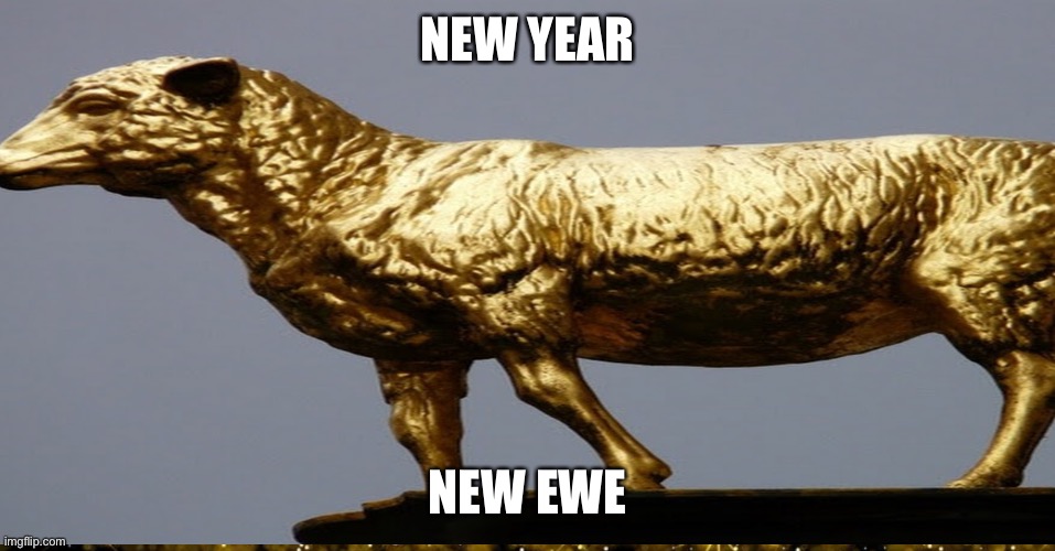 NEW YEAR; NEW EWE | image tagged in happy new year,new years | made w/ Imgflip meme maker