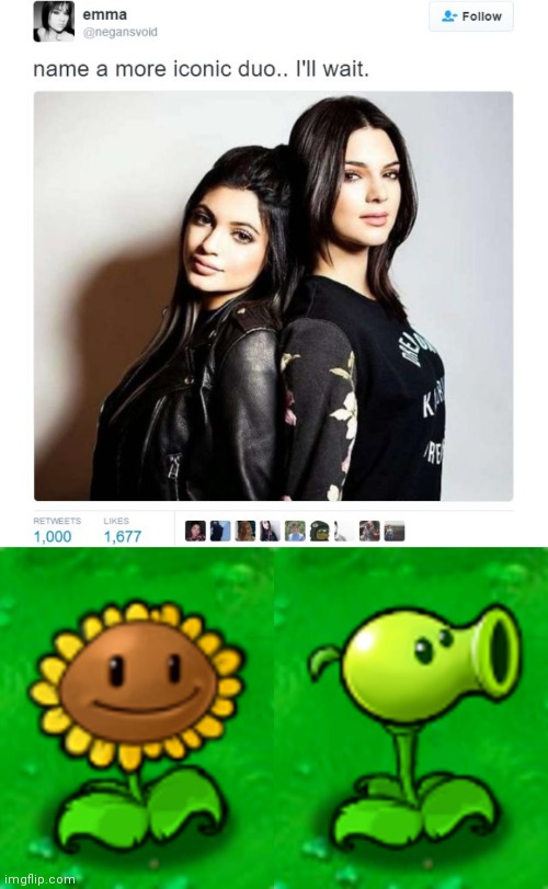 image tagged in name a more iconic duo,pvz,plants vs zombies | made w/ Imgflip meme maker