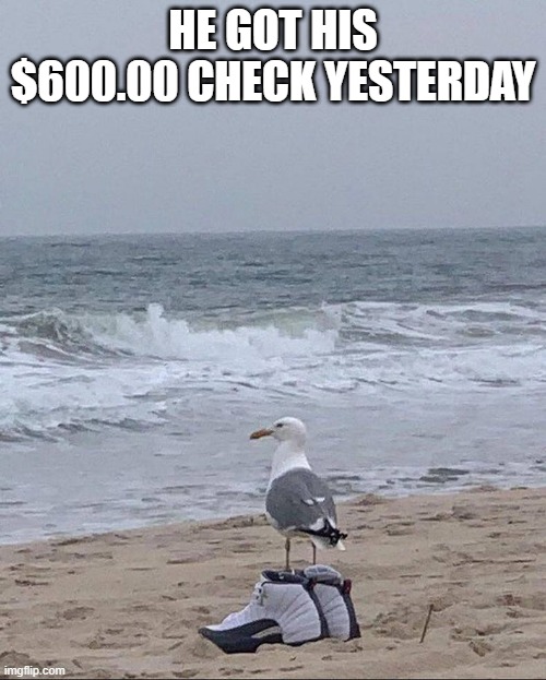 Bird shoes | HE GOT HIS $600.00 CHECK YESTERDAY | image tagged in shoes | made w/ Imgflip meme maker