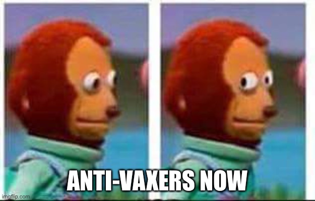 Monkey Puppet | ANTI-VAXERS NOW | image tagged in monkey puppet | made w/ Imgflip meme maker