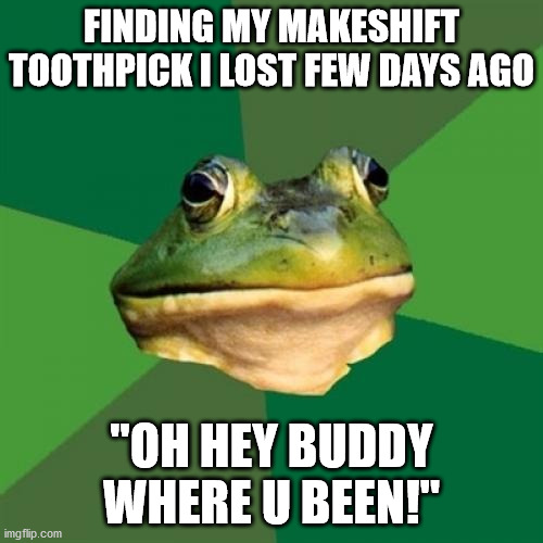 Foul Bachelor Frog | FINDING MY MAKESHIFT TOOTHPICK I LOST FEW DAYS AGO; "OH HEY BUDDY WHERE U BEEN!" | image tagged in memes,foul bachelor frog,memes | made w/ Imgflip meme maker