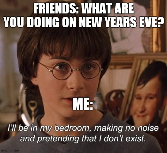 Harry Potter | FRIENDS: WHAT ARE YOU DOING ON NEW YEARS EVE? ME: | image tagged in harry potter | made w/ Imgflip meme maker