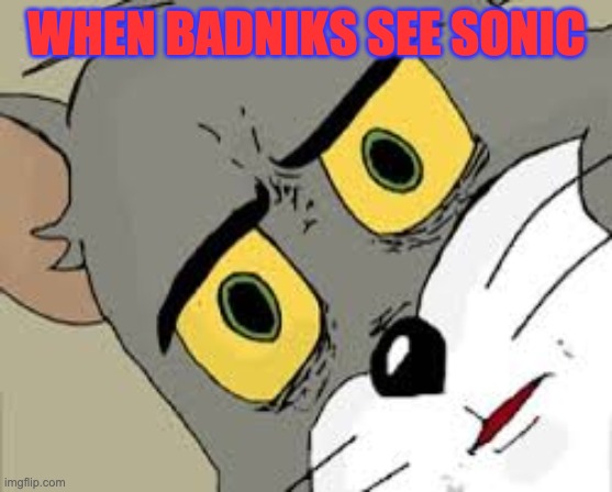When badniks see sonic | WHEN BADNIKS SEE SONIC | image tagged in sonic the hedgehog | made w/ Imgflip meme maker