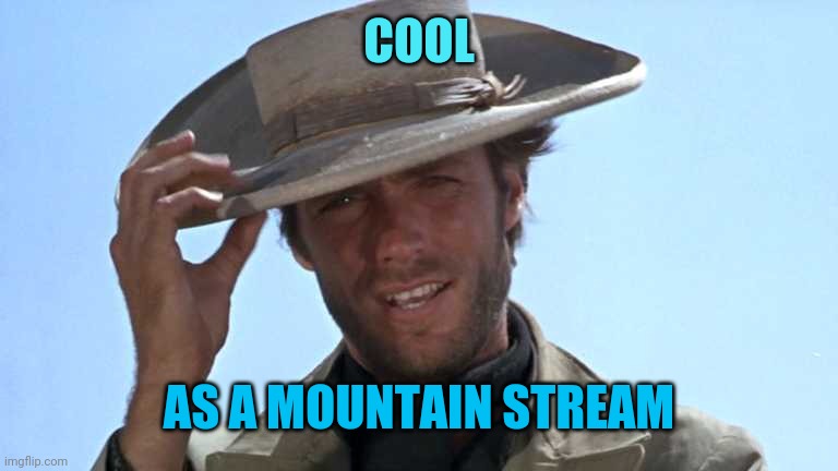 Cowboy Tipping Hat | COOL AS A MOUNTAIN STREAM | image tagged in cowboy tipping hat | made w/ Imgflip meme maker