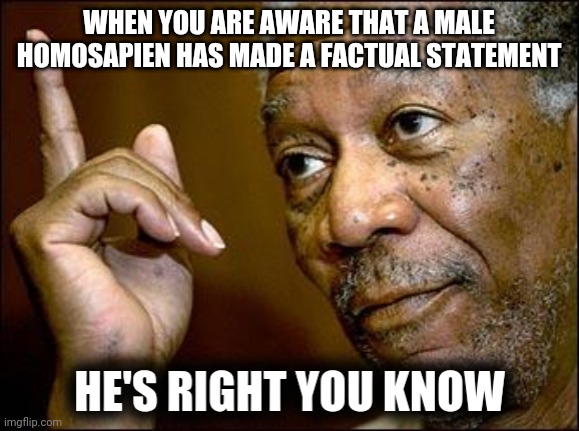 He's right you know | WHEN YOU ARE AWARE THAT A MALE HOMOSAPIEN HAS MADE A FACTUAL STATEMENT | image tagged in he's right you know | made w/ Imgflip meme maker