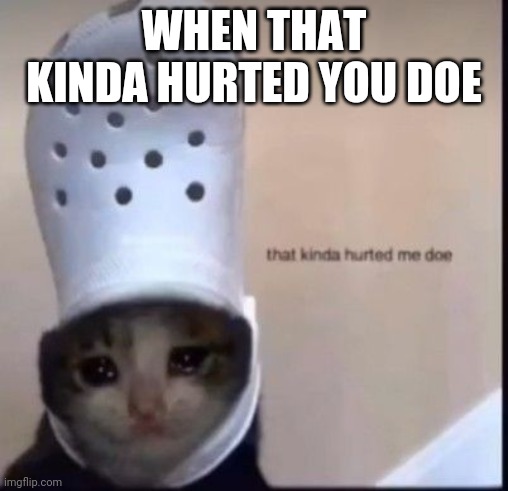 That kinda hurted me doe | WHEN THAT KINDA HURTED YOU DOE | image tagged in that kinda hurted me doe | made w/ Imgflip meme maker