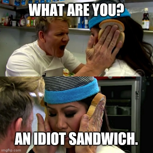 Gordon Ramsay Idiot Sandwich | WHAT ARE YOU? AN IDIOT SANDWICH. | image tagged in gordon ramsay idiot sandwich | made w/ Imgflip meme maker