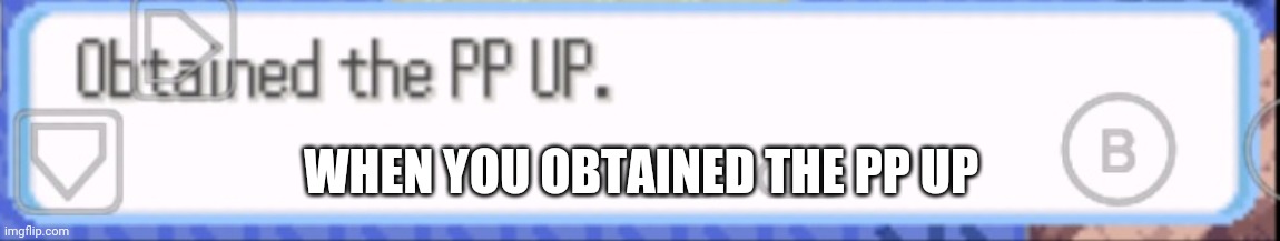 Obtained the pp up | WHEN YOU OBTAINED THE PP UP | image tagged in obtained the pp up | made w/ Imgflip meme maker