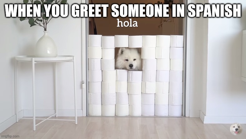 hola | WHEN YOU GREET SOMEONE IN SPANISH | image tagged in hola | made w/ Imgflip meme maker