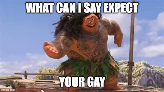 What can I say except your gay | WHAT CAN I SAY EXPECT; YOUR GAY | image tagged in memes | made w/ Imgflip meme maker