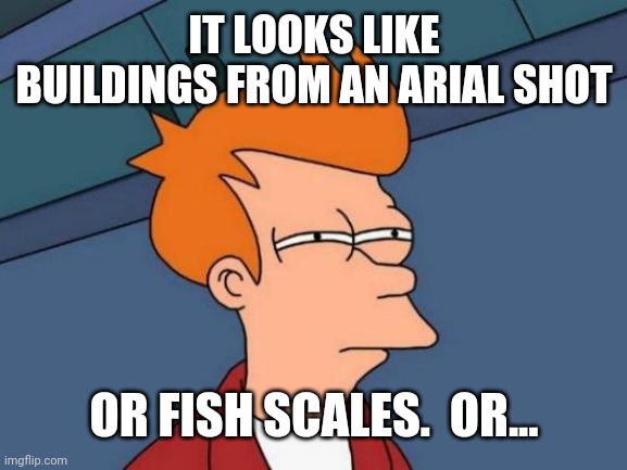 Futurama Fry Meme | IT LOOKS LIKE BUILDINGS FROM AN ARIAL SHOT OR FISH SCALES.  OR... | image tagged in memes,futurama fry | made w/ Imgflip meme maker