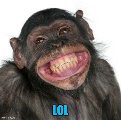 Grinning Chimp | LOL | image tagged in grinning chimp | made w/ Imgflip meme maker