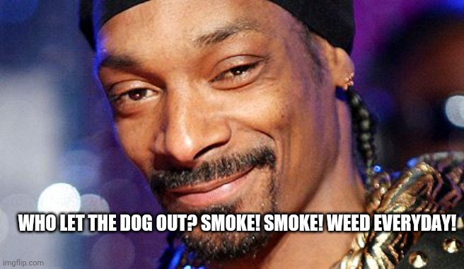 Snopp dog | WHO LET THE DOG OUT? SMOKE! SMOKE! WEED EVERYDAY! | image tagged in snopp dogg approves | made w/ Imgflip meme maker