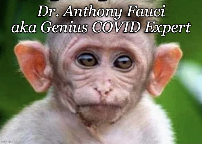 Dr.Fauci | Dr. Anthony Fauci aka Genius COVID Expert | image tagged in monkey | made w/ Imgflip meme maker