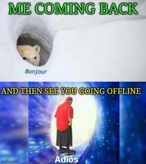 bonjur adios | ME COMING BACK AND THEN SEE YOU GOING OFFLINE | image tagged in bonjur adios | made w/ Imgflip meme maker