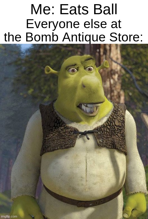 BRUHHH | Me: Eats Ball; Everyone else at the Bomb Antique Store: | image tagged in shrek | made w/ Imgflip meme maker