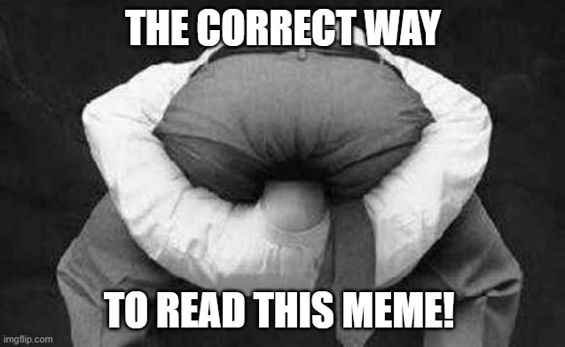 Head up your ass | THE CORRECT WAY TO READ THIS MEME! | image tagged in head up your ass | made w/ Imgflip meme maker