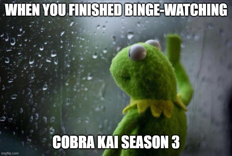 When you've watched Cobra Kai Season III | WHEN YOU FINISHED BINGE-WATCHING; COBRA KAI SEASON 3 | image tagged in sad kermit,cobra kai,netflix | made w/ Imgflip meme maker