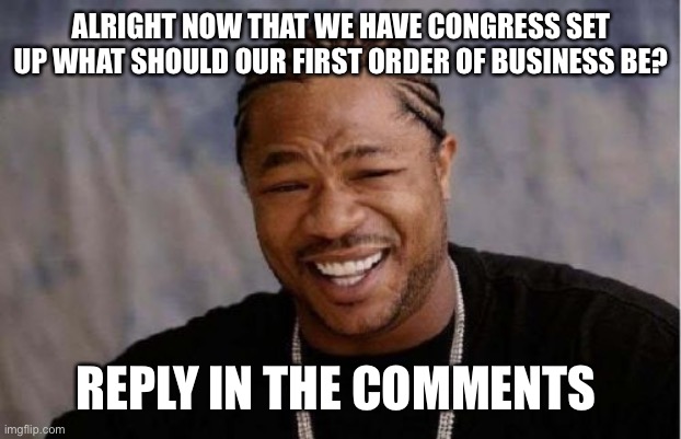 Congress time | ALRIGHT NOW THAT WE HAVE CONGRESS SET UP WHAT SHOULD OUR FIRST ORDER OF BUSINESS BE? REPLY IN THE COMMENTS | image tagged in memes,yo dawg heard you | made w/ Imgflip meme maker