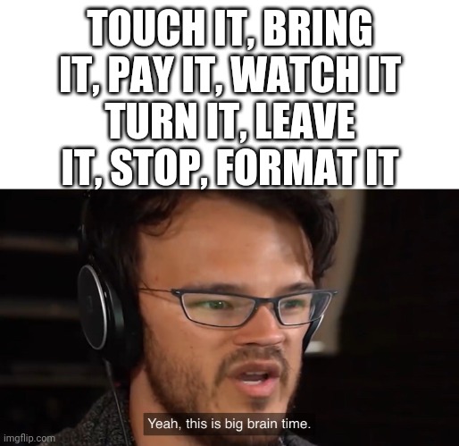 Touch it, bring it, pay it, watch it Turn it, leave it, stop, format it | TOUCH IT, BRING IT, PAY IT, WATCH IT
TURN IT, LEAVE IT, STOP, FORMAT IT | image tagged in yeah this is big brain time,busta rhymes,memes,song,rap | made w/ Imgflip meme maker