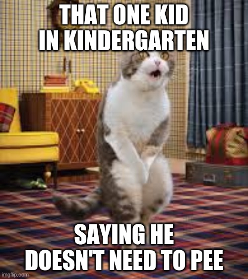 PeePee Cat | THAT ONE KID IN KINDERGARTEN; SAYING HE DOESN'T NEED TO PEE | image tagged in peepee cat | made w/ Imgflip meme maker