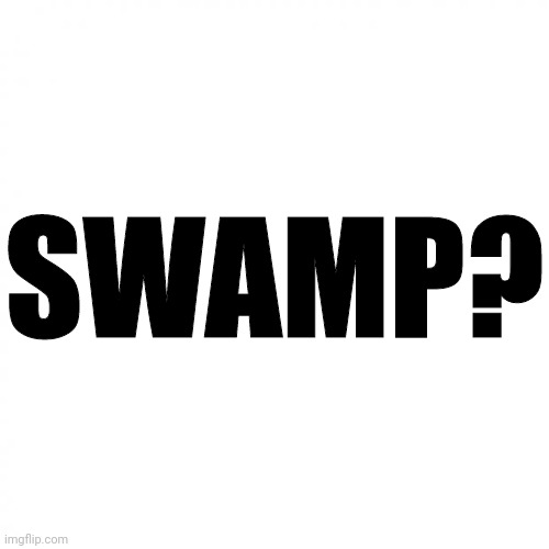 white square | SWAMP? | image tagged in white square | made w/ Imgflip meme maker