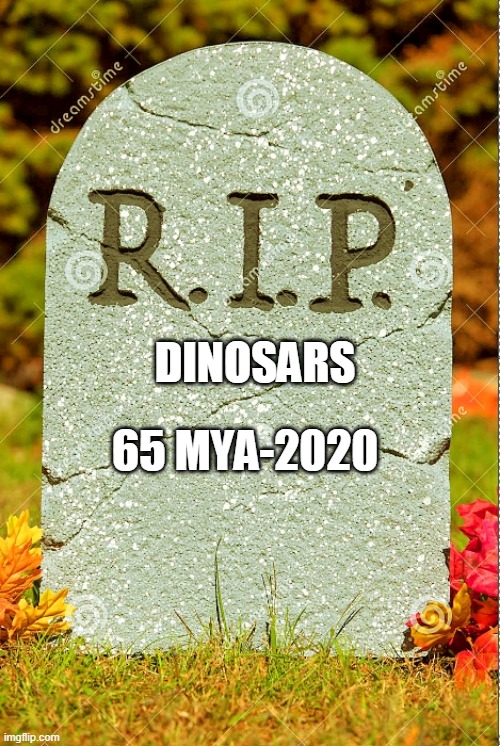 R.I.P. sm | 65 MYA-2020; DINOSARS | image tagged in r i p sm | made w/ Imgflip meme maker
