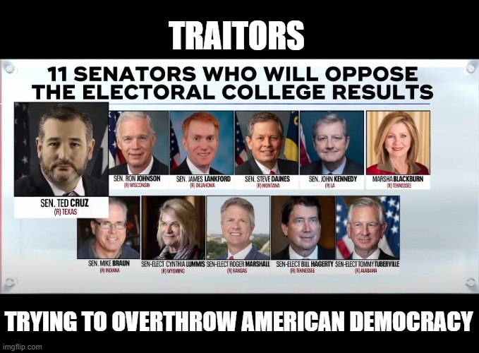 Swore an Oath to Protect the U.S. Constitution from ALL Enemies, both Foreign and Domestic. | TRAITORS; TRYING TO OVERTHROW AMERICAN DEMOCRACY | image tagged in traitors,sedition,coup,treason,corrupt,swamp | made w/ Imgflip meme maker