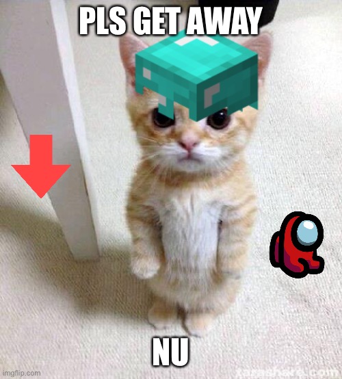 Shy protected cat | PLS GET AWAY; NU | image tagged in shy little armored cat | made w/ Imgflip meme maker