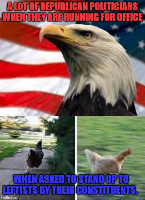 Chicken Hawks | A LOT OF REPUBLICAN POLITICIANS WHEN THEY ARE RUNNING FOR OFFICE; WHEN ASKED TO STAND UP TO LEFTISTS BY THEIR CONSTITUENTS. | image tagged in murica patriotic eagle,running chicken | made w/ Imgflip meme maker