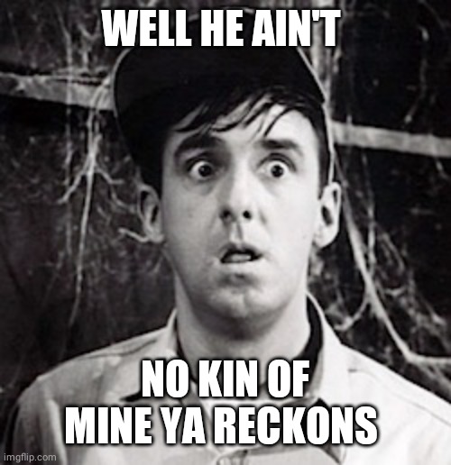 Gomer Pyle  | WELL HE AIN'T NO KIN OF MINE YA RECKONS | image tagged in gomer pyle | made w/ Imgflip meme maker