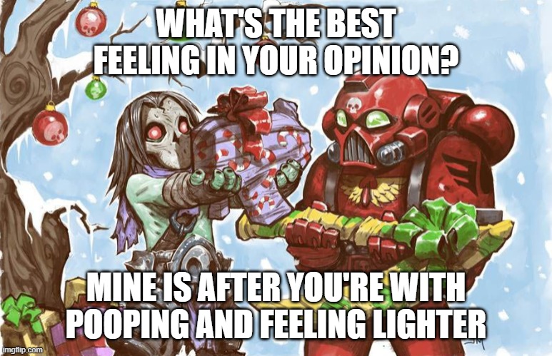 Warhammer 40k Christmas | WHAT'S THE BEST FEELING IN YOUR OPINION? MINE IS AFTER YOU'RE WITH POOPING AND FEELING LIGHTER | image tagged in warhammer 40k christmas | made w/ Imgflip meme maker