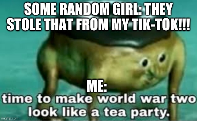 time to make world war 2 look like a tea party | SOME RANDOM GIRL: THEY STOLE THAT FROM MY TIK-TOK!!! ME: | image tagged in time to make world war 2 look like a tea party | made w/ Imgflip meme maker