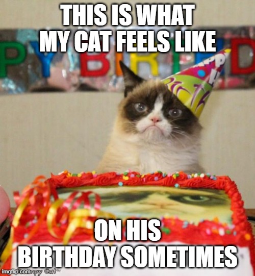 Grumpy Cat Birthday | THIS IS WHAT MY CAT FEELS LIKE; ON HIS BIRTHDAY SOMETIMES | image tagged in memes,grumpy cat birthday,grumpy cat | made w/ Imgflip meme maker