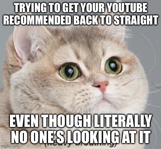 Hi Mr. FBI man (or FBI woman or FBI person whatever you identify as that’s cool Im just gay) | TRYING TO GET YOUR YOUTUBE RECOMMENDED BACK TO STRAIGHT; EVEN THOUGH LITERALLY NO ONE’S LOOKING AT IT | image tagged in memes,heavy breathing cat | made w/ Imgflip meme maker