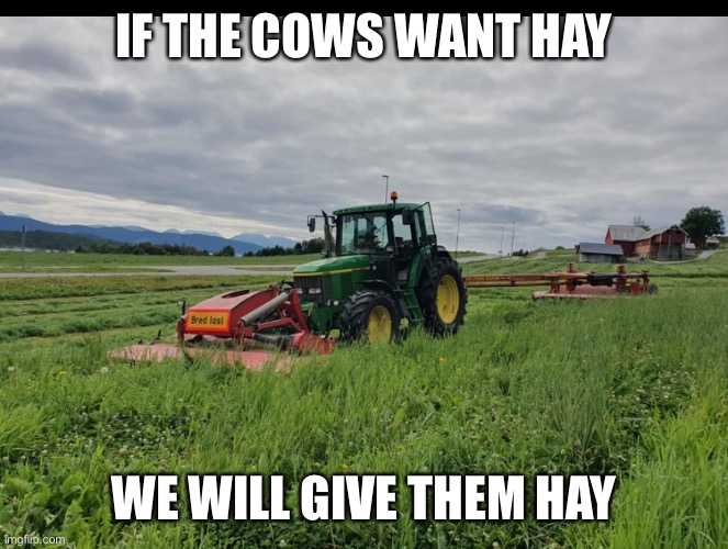 John Deere 6810 | IF THE COWS WANT HAY; WE WILL GIVE THEM HAY | image tagged in john deere 6810 | made w/ Imgflip meme maker
