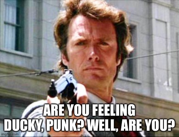 Ducky. | ARE YOU FEELING DUCKY, PUNK? WELL, ARE YOU? | image tagged in dirty harry | made w/ Imgflip meme maker