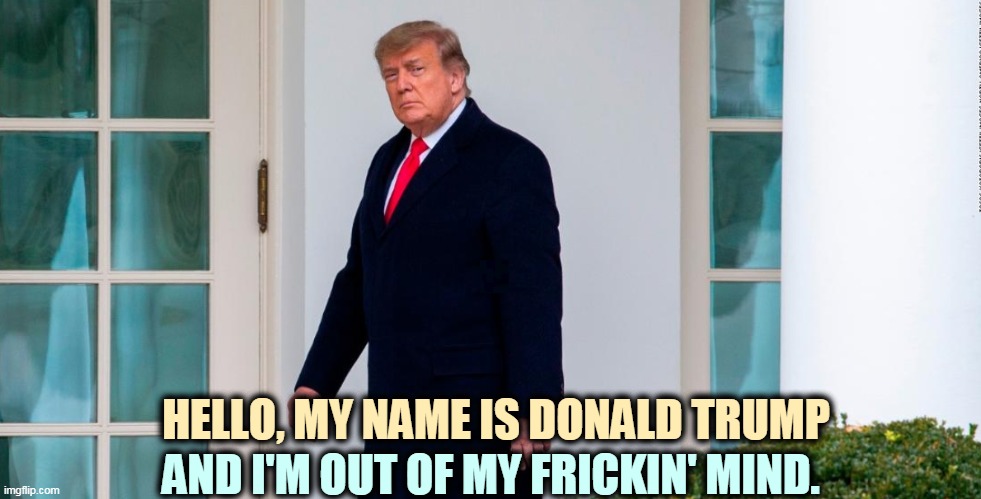 Donald "Mad Dog" Trump looking more insane every day. | HELLO, MY NAME IS DONALD TRUMP; AND I'M OUT OF MY FRICKIN' MIND. | image tagged in trump,mad,nuts,crazy,insane | made w/ Imgflip meme maker