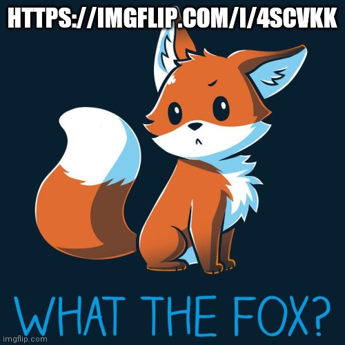 What the Fox? | HTTPS://IMGFLIP.COM/I/4SCVKK | image tagged in what the fox | made w/ Imgflip meme maker