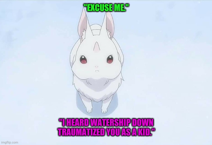 Re:Zero season 2 bunny | "EXCUSE ME."; "I HEARD WATERSHIP DOWN TRAUMATIZED YOU AS A KID." | image tagged in re zero season 2 bunny | made w/ Imgflip meme maker