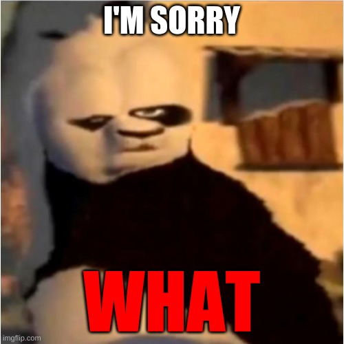 I'M SORRY WHAT | made w/ Imgflip meme maker