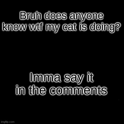 ??? | Bruh does anyone know wtf my cat is doing? Imma say it in the comments | image tagged in memes,wtf,cats | made w/ Imgflip meme maker