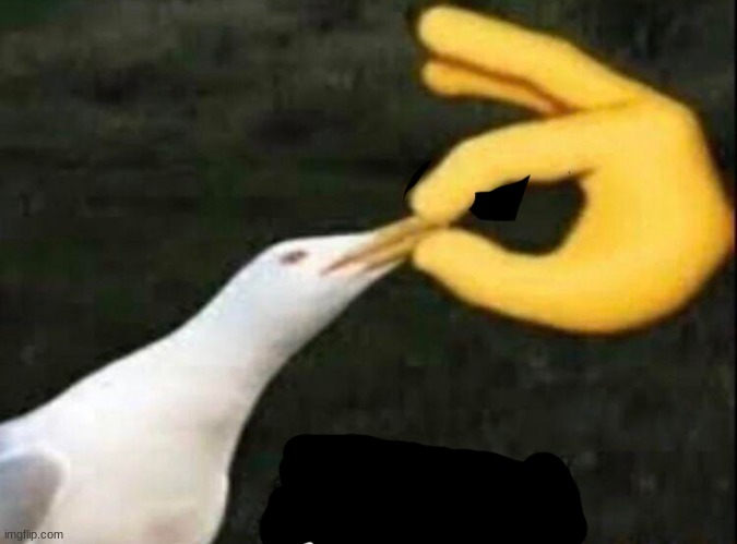 SHUT | image tagged in shut | made w/ Imgflip meme maker