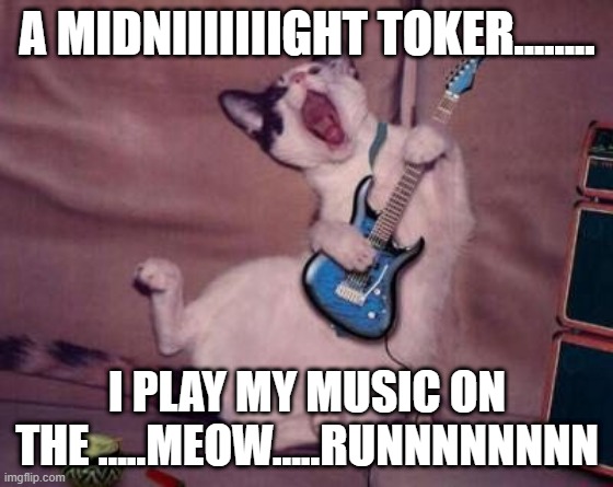 cat rocking | A MIDNIIIIIIIGHT TOKER........ I PLAY MY MUSIC ON THE .....MEOW.....RUNNNNNNNN | image tagged in cat rocking | made w/ Imgflip meme maker