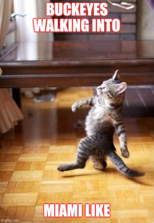 Cool Cat Stroll Meme | BUCKEYES WALKING INTO; MIAMI LIKE | image tagged in memes,cool cat stroll | made w/ Imgflip meme maker