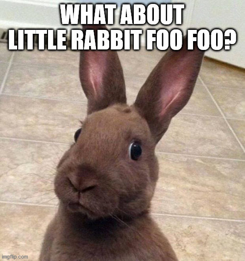 Really? Rabbit | WHAT ABOUT LITTLE RABBIT FOO FOO? | image tagged in really rabbit | made w/ Imgflip meme maker