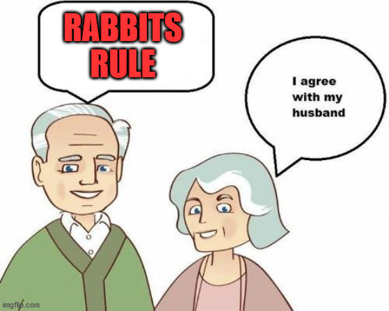 I agree with my husband | RABBITS RULE | image tagged in i agree with my husband | made w/ Imgflip meme maker